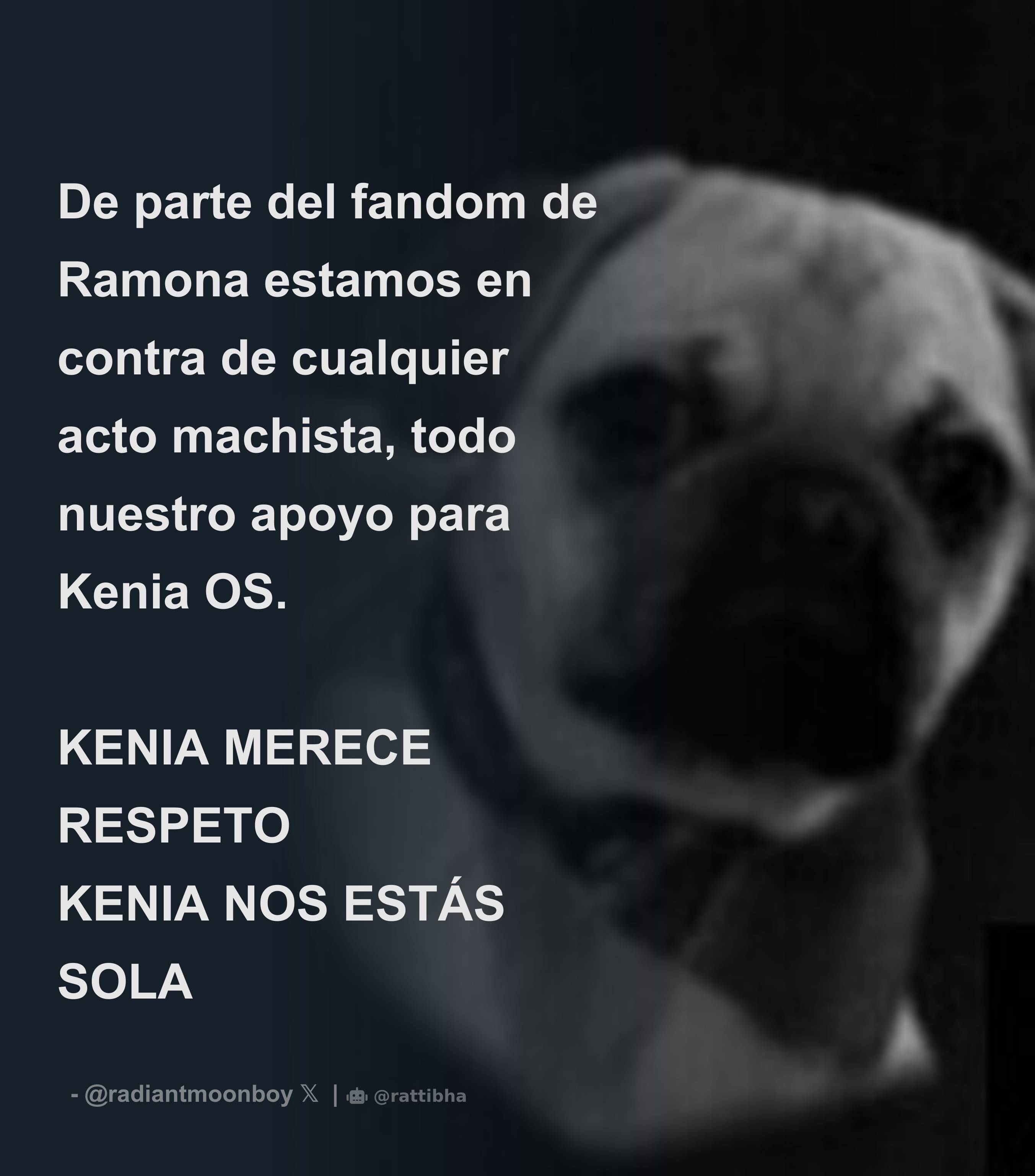 De Parte Del Fandom De Ramona Estamos En Contra De Cualquier Acto