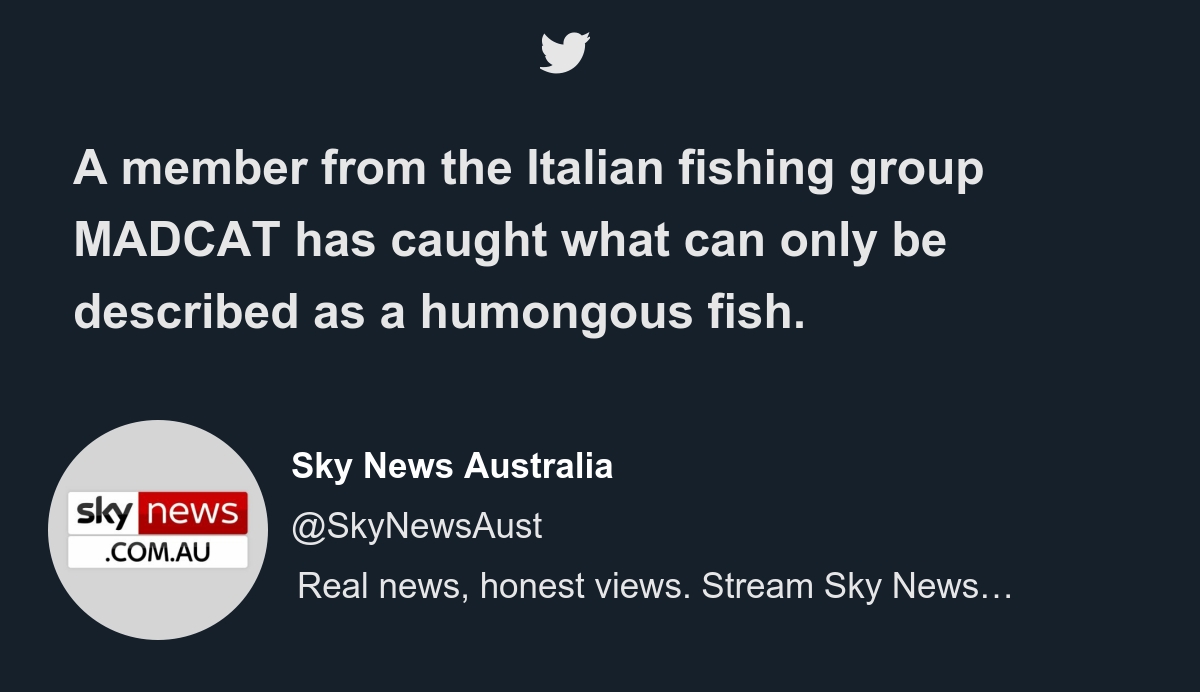 Sky news australia online live stream