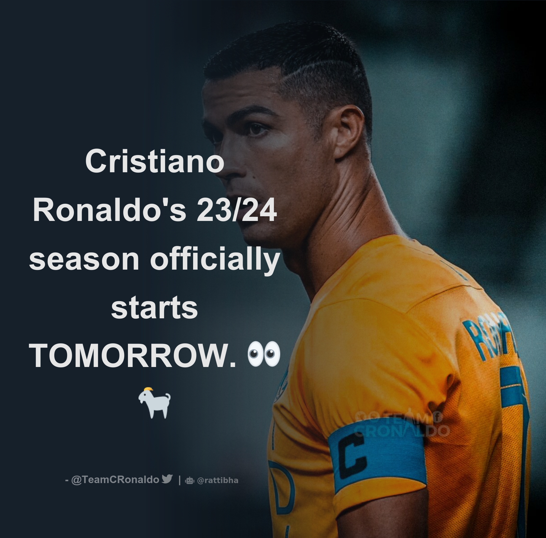 Cristiano Ronaldo - Player profile 23/24