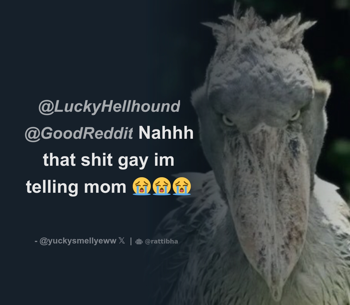 LuckyHellhound @GoodReddit Nahhh that shit gay im telling mom 😭😭😭 -  Download Tweet Image from . @yuckysmellyeww - Rattibha