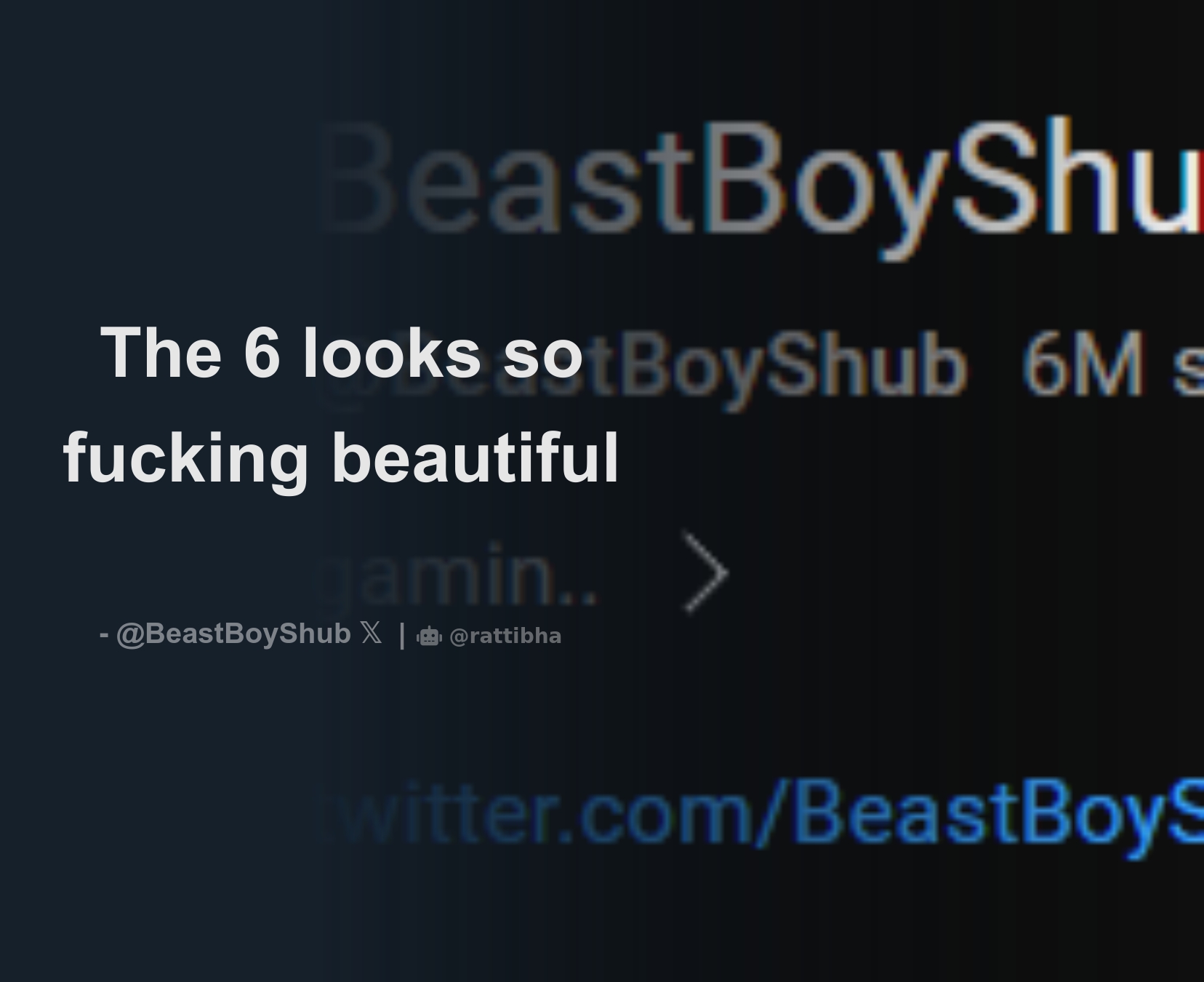 BeastBoyShub 