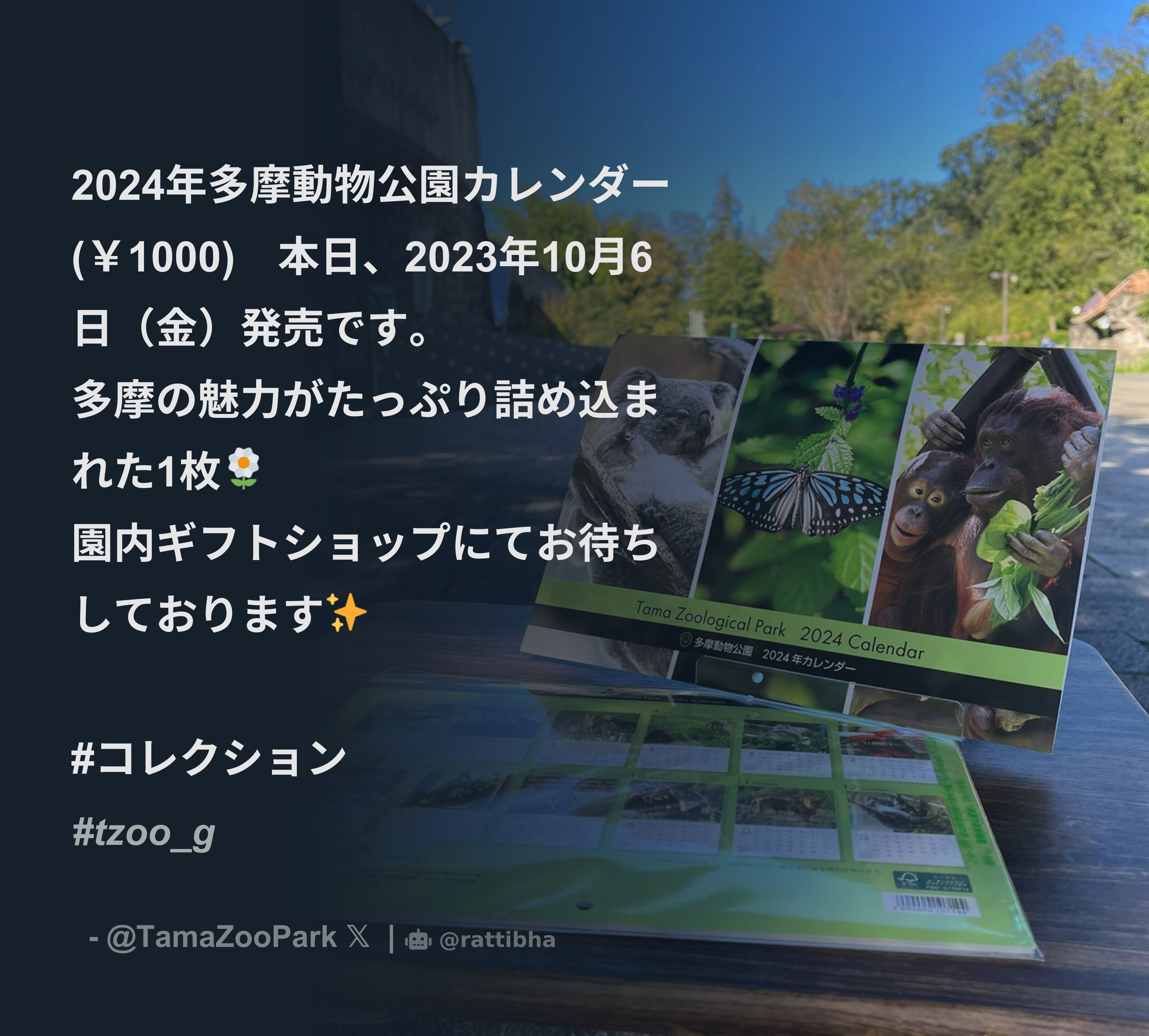 2024年多摩動物公園カレンダー(￥1000) 本日、2023年10月6日（金）発売