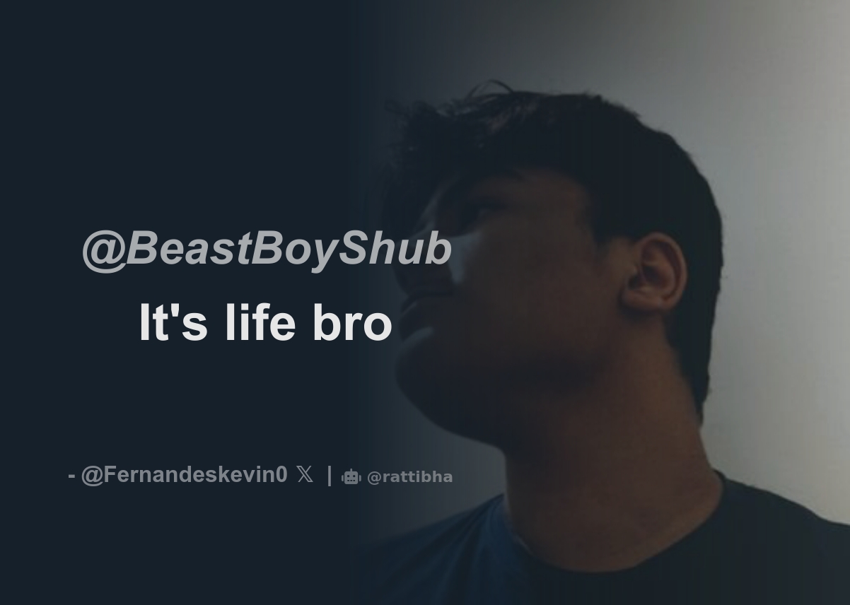 BeastBoyShub 