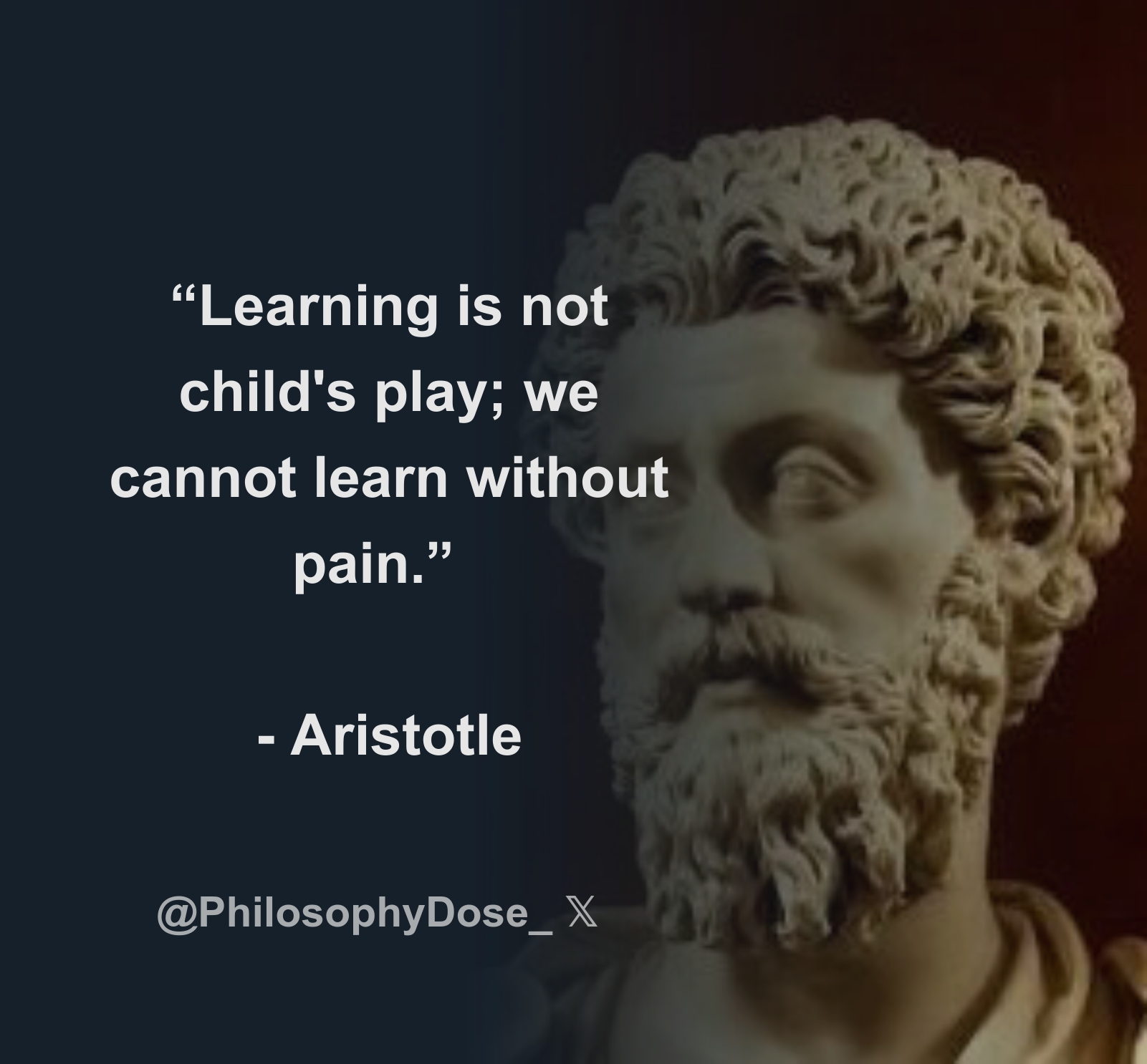 learning-is-not-child-s-play-we-cannot-learn-without-pain