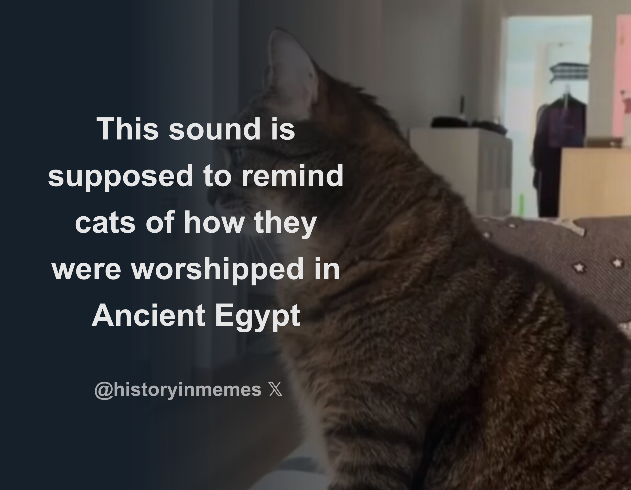 This sound is supposed to remind cats of how they were worshipped in