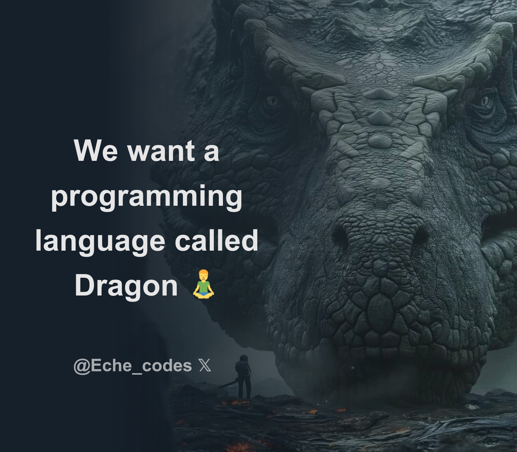 We want a programming language called Dragon 🧘‍♂️ - Thread from 𝕏 Eche ...